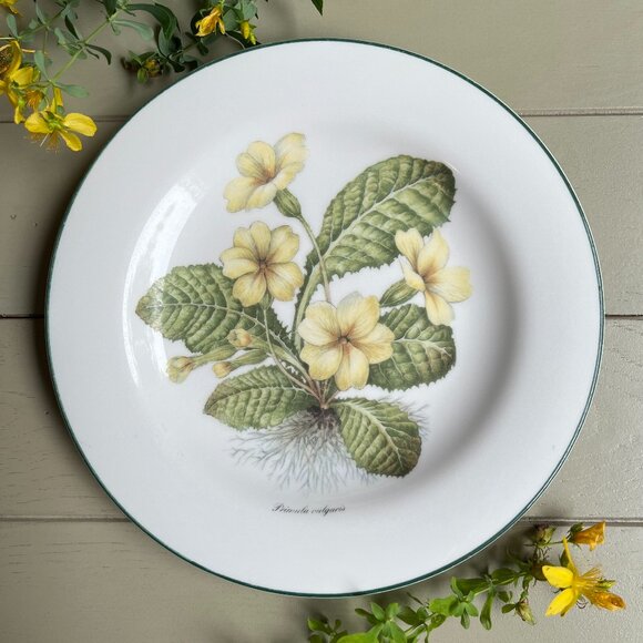 Royal Vale Primula Vulgaris Collector Plate Botanical Pattern Made in England - Picture 1 of 10